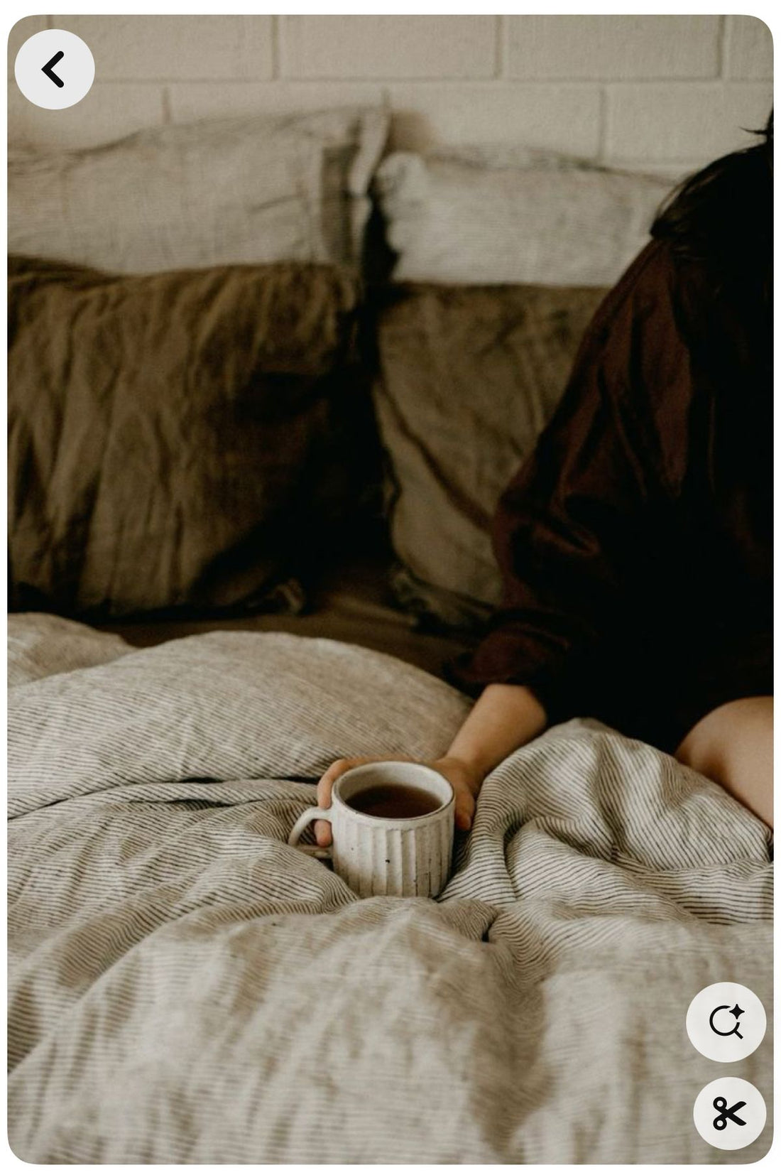 The Morning Teas That Shape a Day