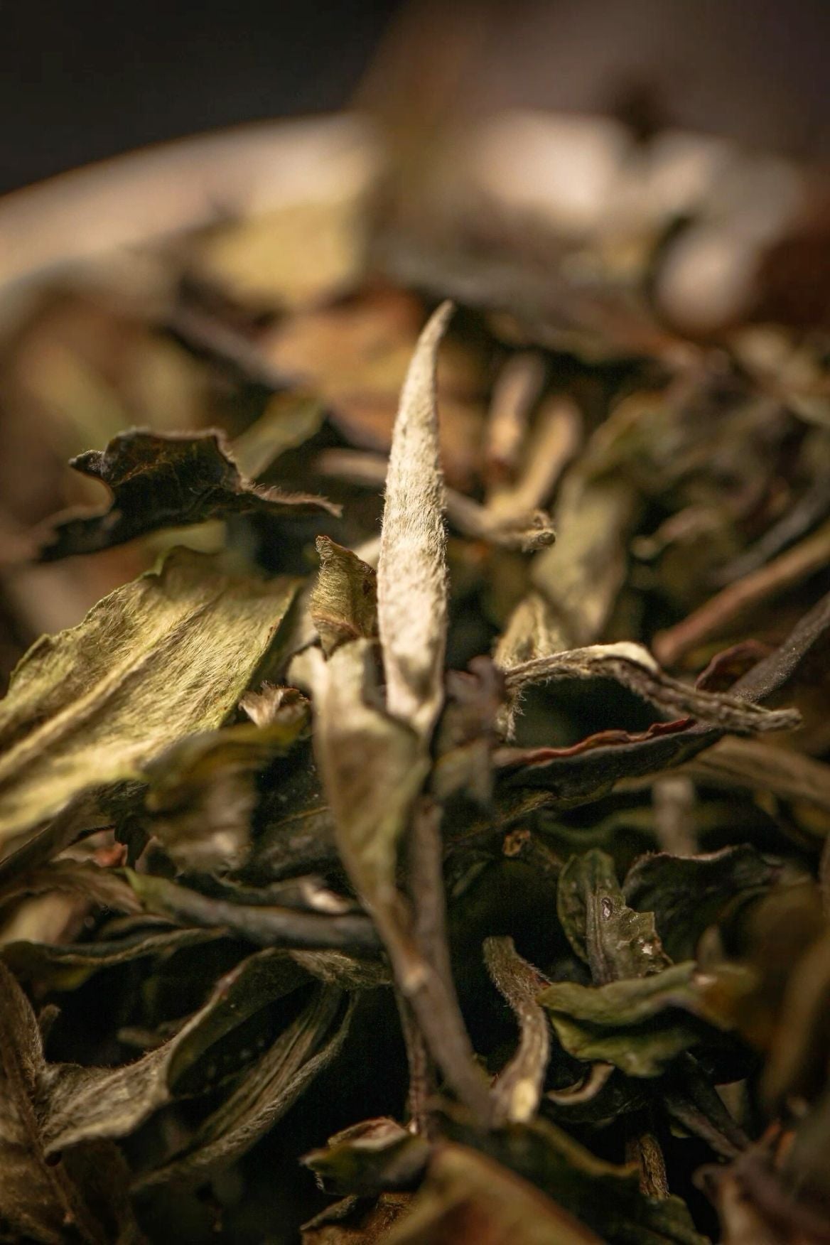 Loose Leaf Is Not a Trend. It’s a Standard.