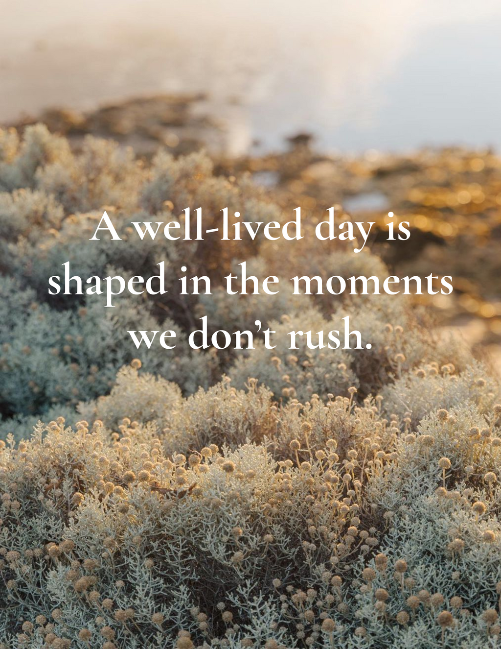 The Seven Moments That Shape the Day