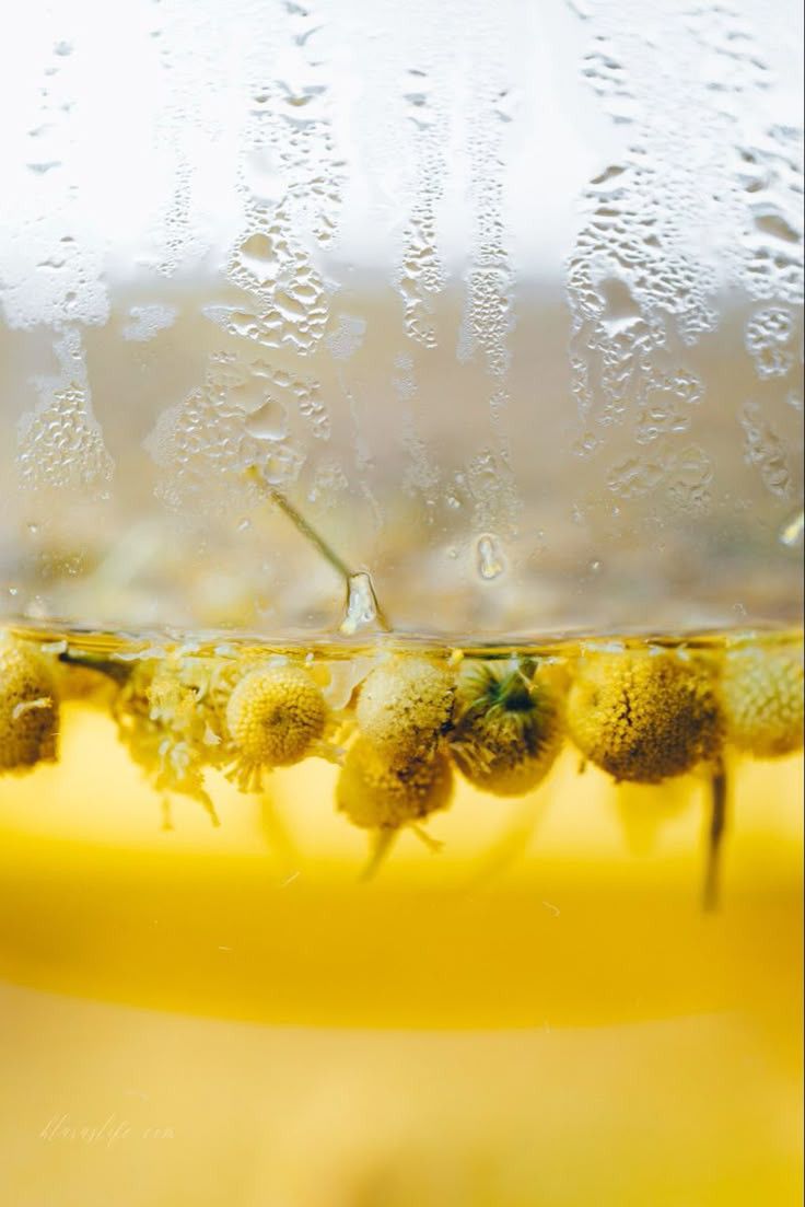 Organic Whole Flower Chamomile 50g