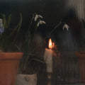 A Gentle Evening Ritual Bundle 30g